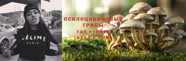 метадон Тайга