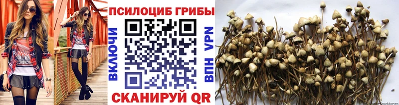 Псилоцибиновые грибы GOLDEN TEACHER  где найти наркотики  Заводоуковск 